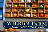 Wilson Farm Lexington